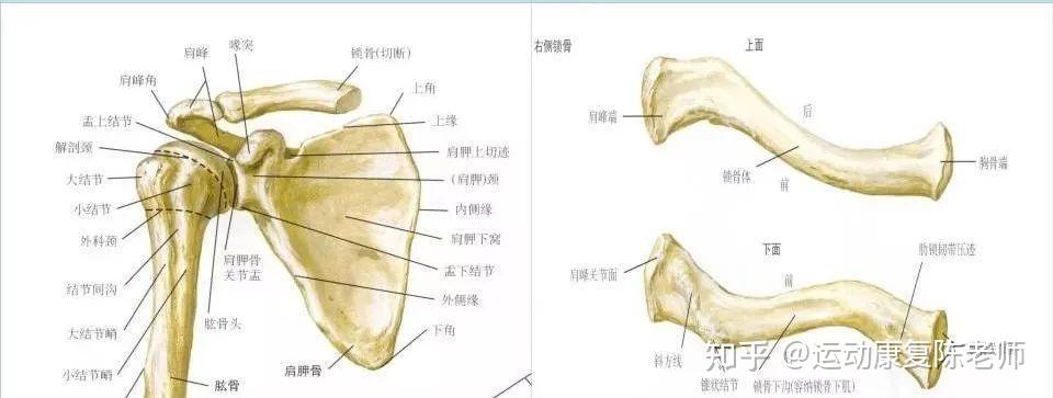公共场景配套服务商的产品布局包含哪些方向(图1)